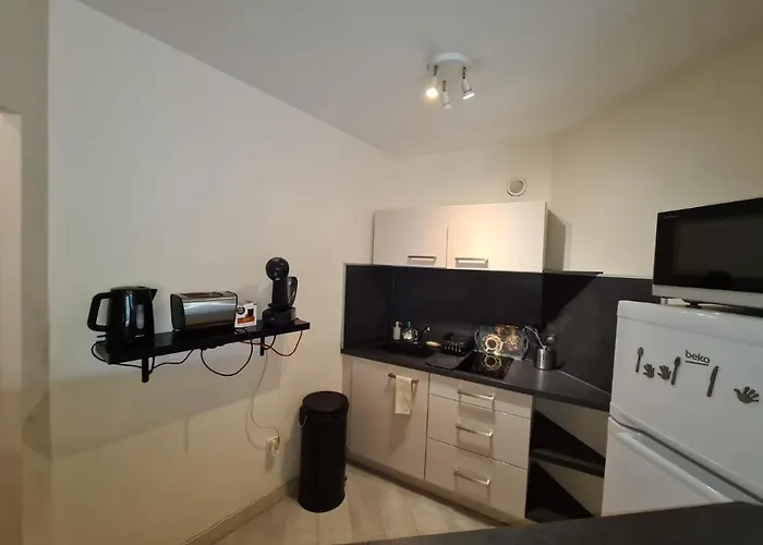 Beau A 50m De La Appartement Nice